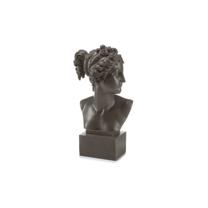 BUSTO GREY VENUS