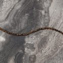 Morellato - Bracciale Uomo - Acciaio - Occhio Di Tigre