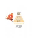 Lampe Berger - Orange De Cannelle - Ricarica 500Ml