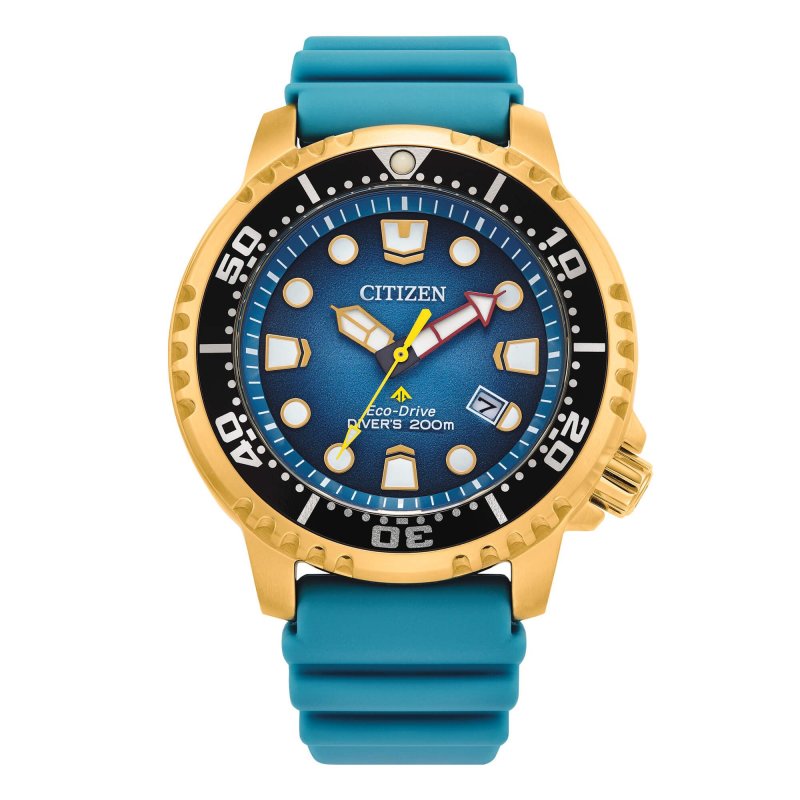 Citizen - Diver'S Eco Drive - Acciaio - Placcato Oro