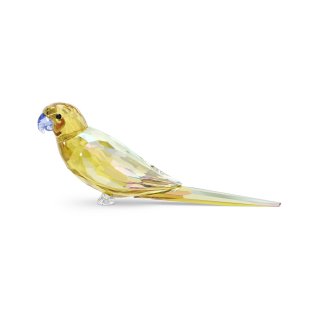 Swarovski - Jungle Beats Pappagallino - Cristallo - Giallo