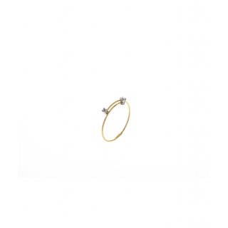 BASIC Anello 1G 2P