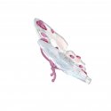 Swarovski - Idyllia Farfalla - Rosa - Cristallo