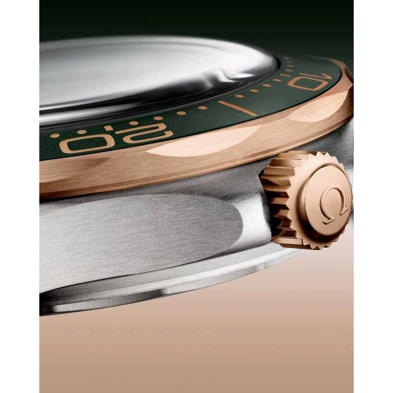 Omega - Seamaster Diver 300M - Titanio - 42 Mm