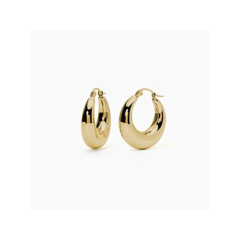 2 Jewels - Orecchini Acciaio 316L - Pvd Giallo - Donna