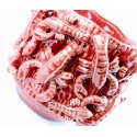 Vaso Lobster