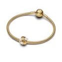 Charm Tesori dell'Oceano