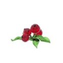 Swarovski - Idyllia Bacche Rosse - Cristallo - Rosso