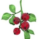 Swarovski - Idyllia Bacche Rosse - Cristallo - Rosso
