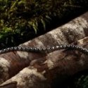 Sector - Bracciale Basic Uomo - Acciaio Silver - Catena