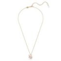 Swarovski - Pendente Swan - Oro Rosa - Zirconia Rosa