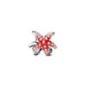 Charm Stella Marina Colorata