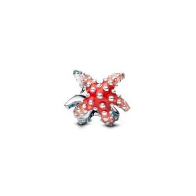 Charm Stella Marina Colorata