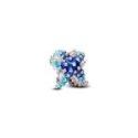 Charm Stella Marina Colorata