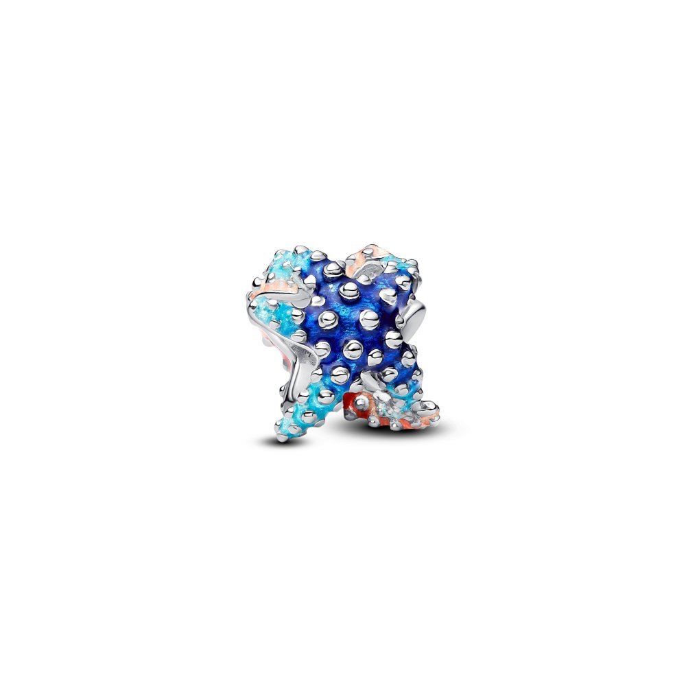 Charm Stella Marina Colorata