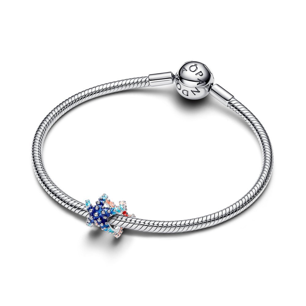 Charm Stella Marina Colorata