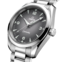Omega - Seamaster Railmaster 38 Mm - Acciaio - Quadrante Grigio