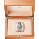 Omega - Seamaster Railmaster 38 Mm - Acciaio - Quadrante Grigio