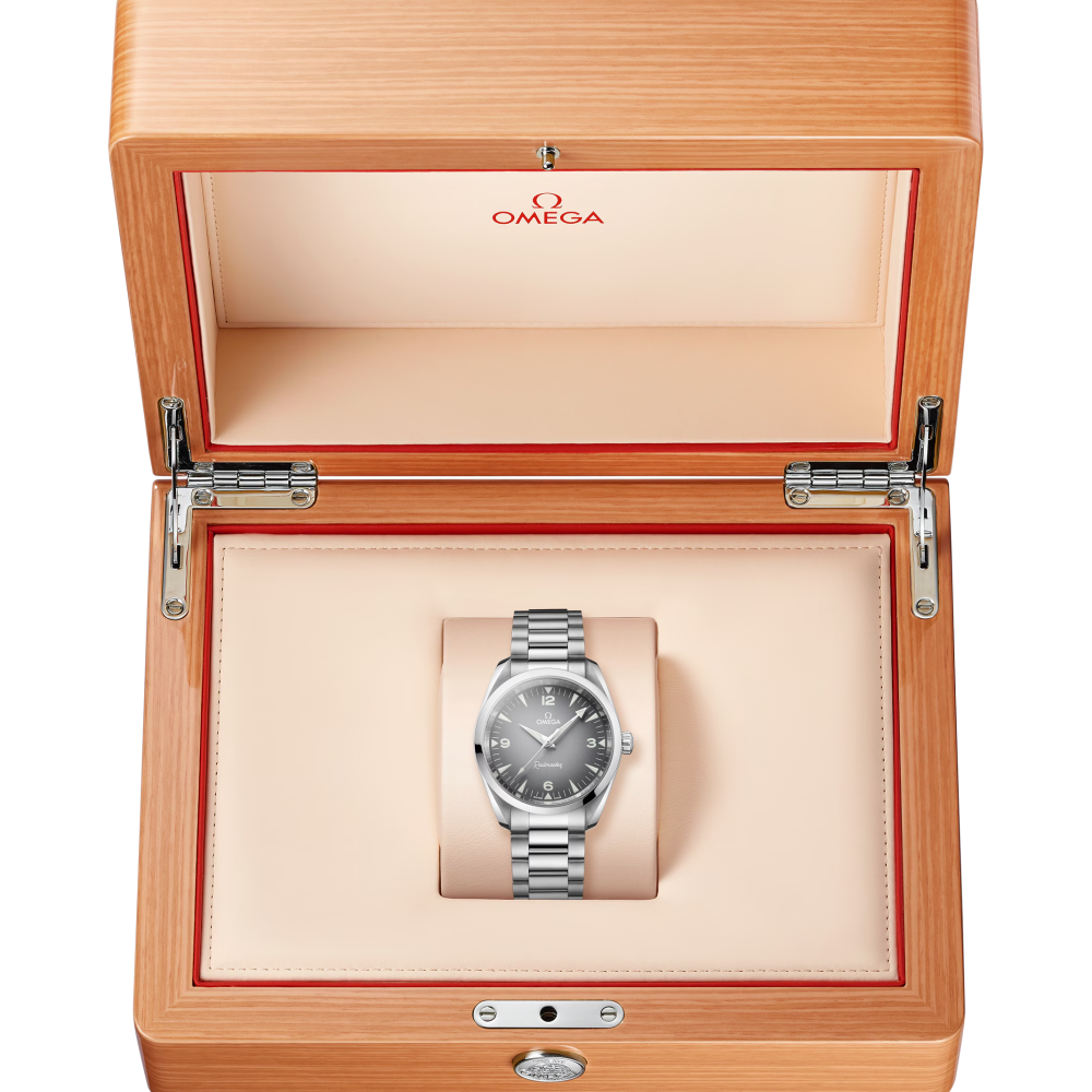 Omega - Seamaster Railmaster 38 Mm - Acciaio - Quadrante Grigio
