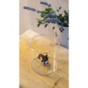 Wd Lifestyle - Bicchiere Vetro Borosilicato - Figura Volpe - Colorato