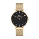 Daniel Wellington - Piccola Evergold - Oro - Acciaio