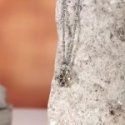 Morellato - Collana Versilia - Acciaio - Cristalli