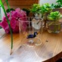 Wd Lifestyle - Bicchiere Tucano - Vetro Borosilicato