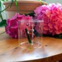 Wd Lifestyle - Bicchiere Koala - Vetro Borosilicato