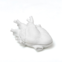 Seletti - Scatola Love In Bloom - Velluto Rosso