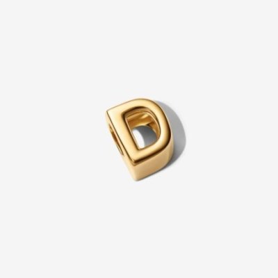 Charm Lettera D piccola