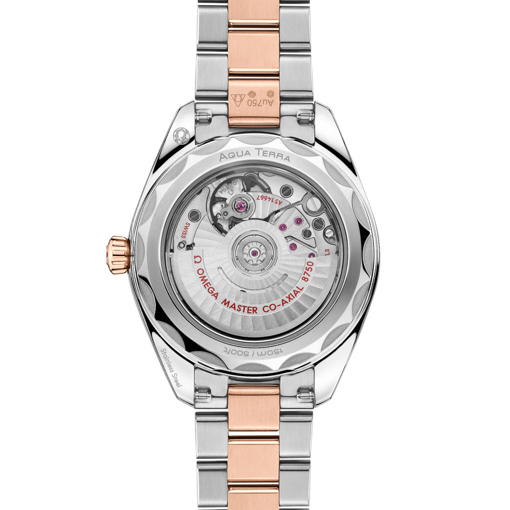 Omega - Seamaster Aqua Terra - Acciaio - 150M