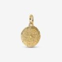 Charm Medallion Leone "Vita Veritas Virtus"