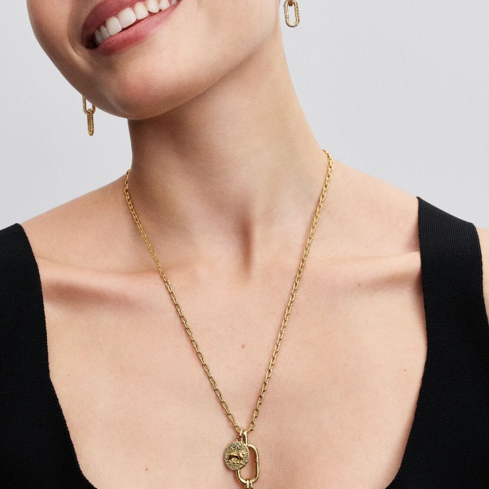 Charm Medallion Frecce "Ad Meliora"