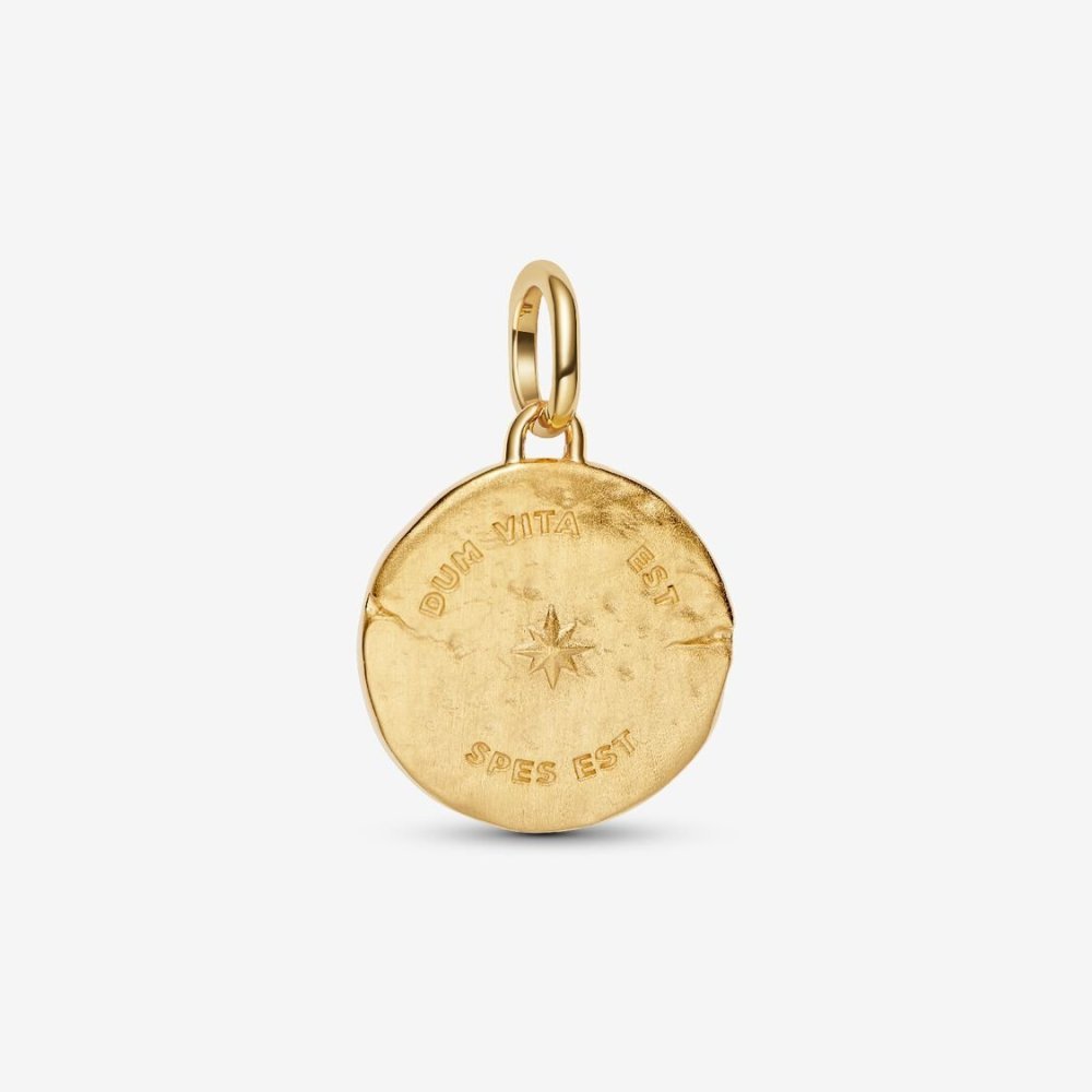 Charm Medallion Rondine "Dum Vita Est Spes Est"