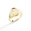 Anello Sigillo Oro Giallo & Diamante Bianco - Dodo