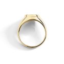 Anello Sigillo Oro Giallo & Diamante Bianco - Dodo
