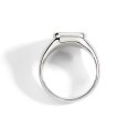 Dodo - Anello Sigillo - Argento - Diamante