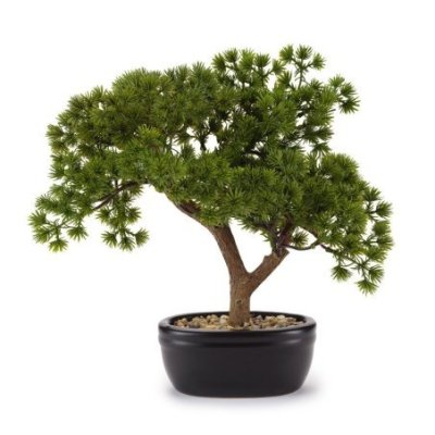 Henriette - Bonsai Pino Modell - Ceramica - Multicolor