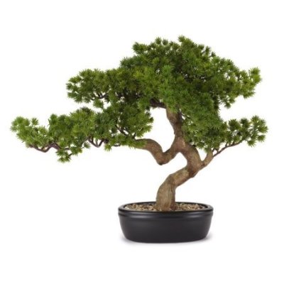 Henriette - Bonsai Pino Con Vaso - Ceramica - Multicolor