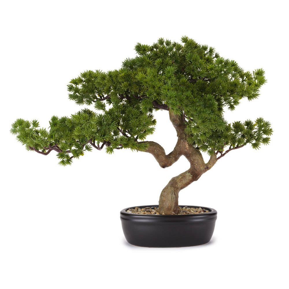 Henriette - Bonsai Pino Con Vaso - Ceramica - Multicolor