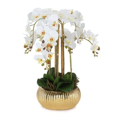 Henriette - Pianta Orchidea - Real Touch - Multicolor