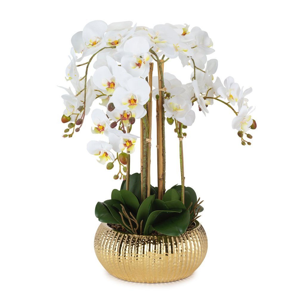 Henriette - Pianta Orchidea - Real Touch - Multicolor