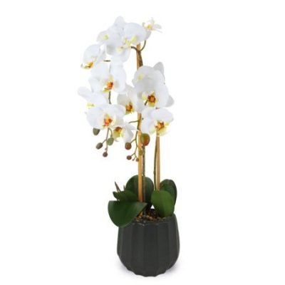 Henriette - Pianta Orchidea 2 Rami - Ceramica - Multicolor