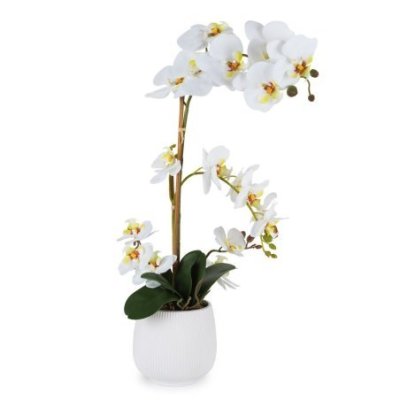 Henriette - Pianta Orchidea - Real Touch - Multicolor