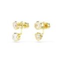 Swarovski - Orecchino Jacket Imber - Placcato Color Oro