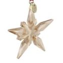 Swarovski - Annual Edition Decorazione - Cristalli - Oro