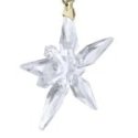 Swarovski - Annual Edition Little Star - Cristalli - Bianco