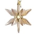 Swarovski - Annual Edition 2025 - Cristalli - Oro