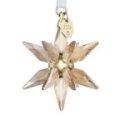 Swarovski - Annual Edition 2025 - Cristalli - Oro