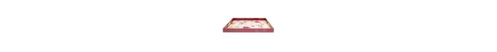 Vassoio Rettangolare 48 x 35 cm Party Time Polipropilene Rosso - Andrea Fontebasso